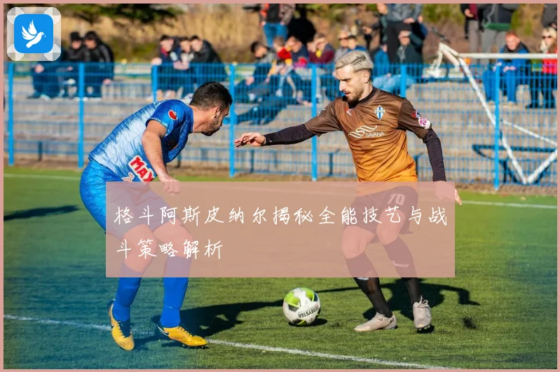 格斗阿斯皮纳尔揭秘全能技艺与战斗策略解析