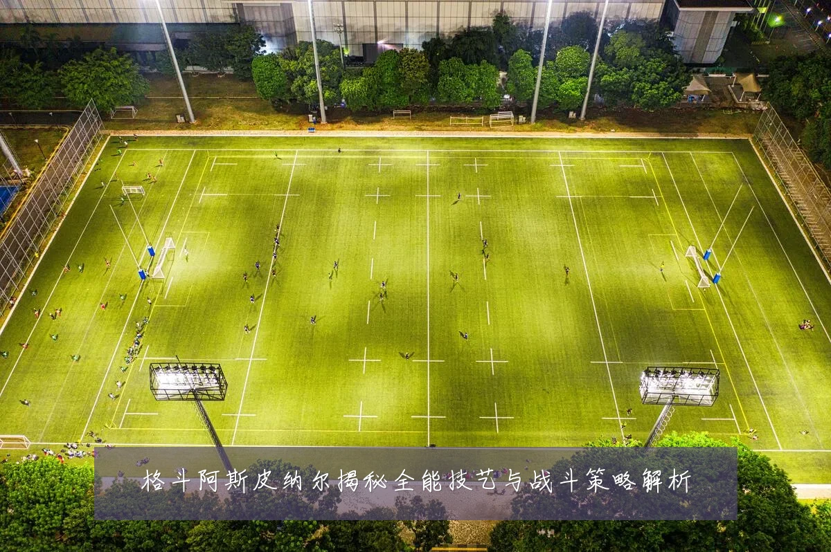 格斗阿斯皮纳尔揭秘全能技艺与战斗策略解析